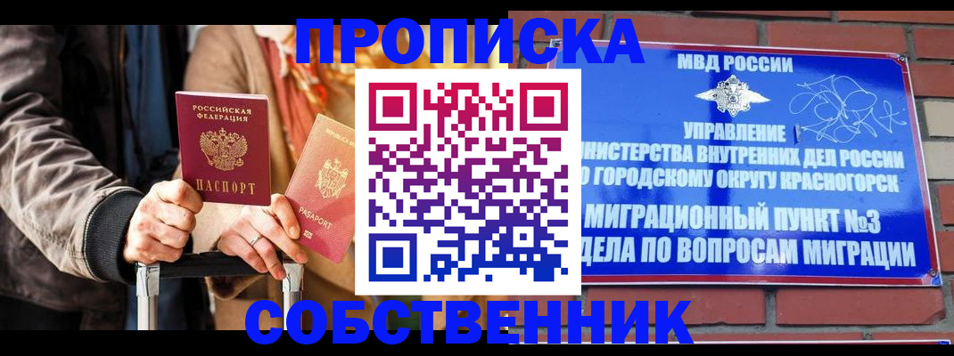 прописка для школы в Пушкино